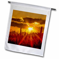 3dRose Danita Delimont - Arizona - USA, Arizona, Tucson, Saguaro National Park - Flags (fl_314571)