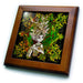 image of 8x8 Framed Tile