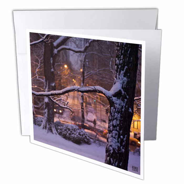 image of 12 Greeting Cards with envelopes