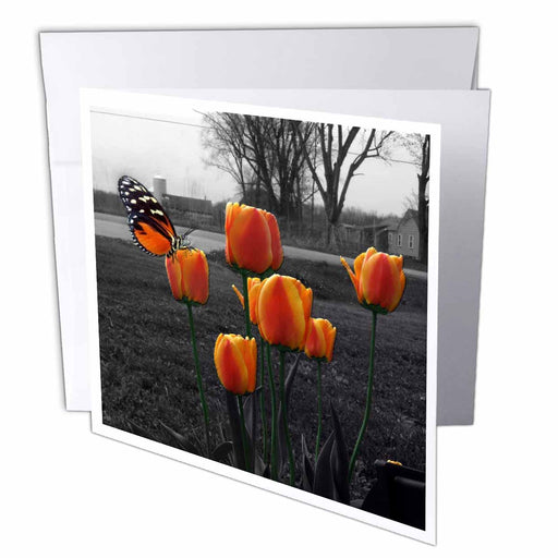 image of 6 Greeting Cards with envelopes