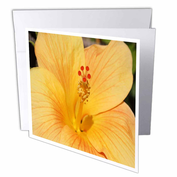 image of 1 Greeting Card with envelope