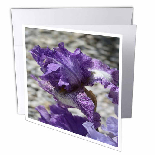 image of 6 Greeting Cards with envelopes