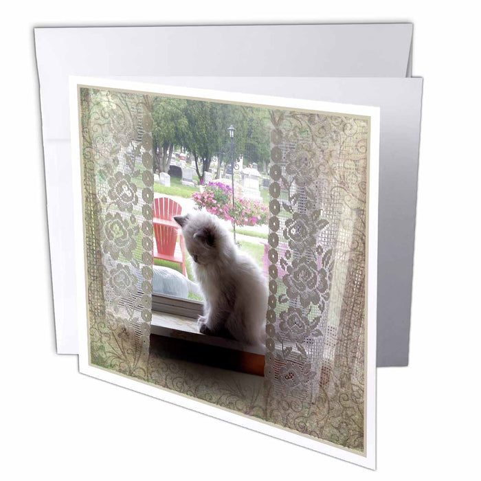 image of 6 Greeting Cards with envelopes