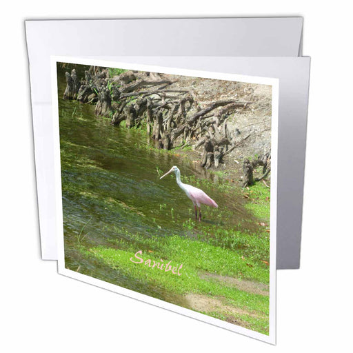 image of 6 Greeting Cards with envelopes