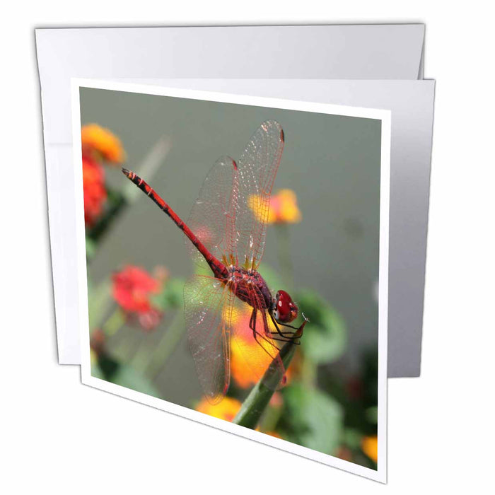 image of 6 Greeting Cards with envelopes