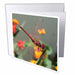 image of 12 Greeting Cards with envelopes