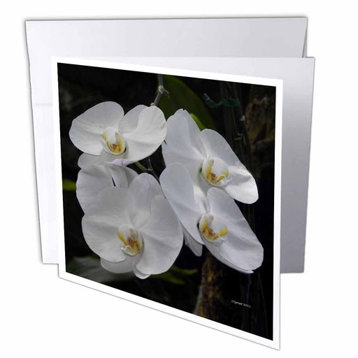 image of 6 Greeting Cards with envelopes