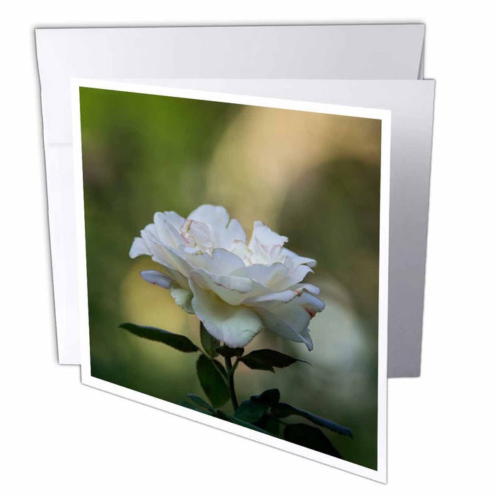 image of 6 Greeting Cards with envelopes