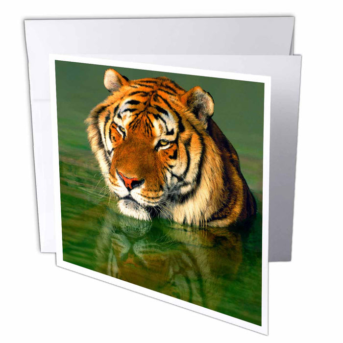 image of 6 Greeting Cards with envelopes