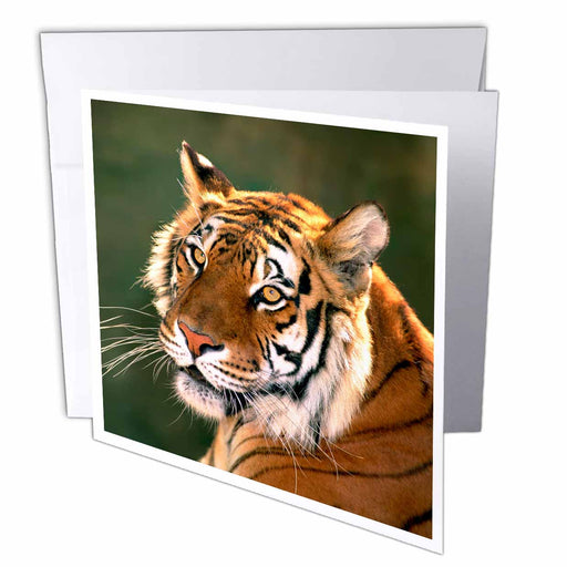 image of 6 Greeting Cards with envelopes