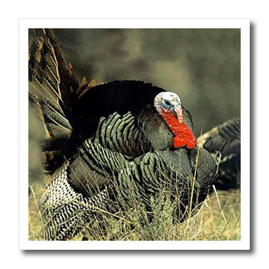 Iron on turkey decal for custom shirts and jackets