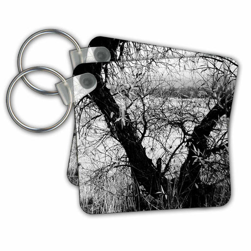 image of set of 2 Key Chains