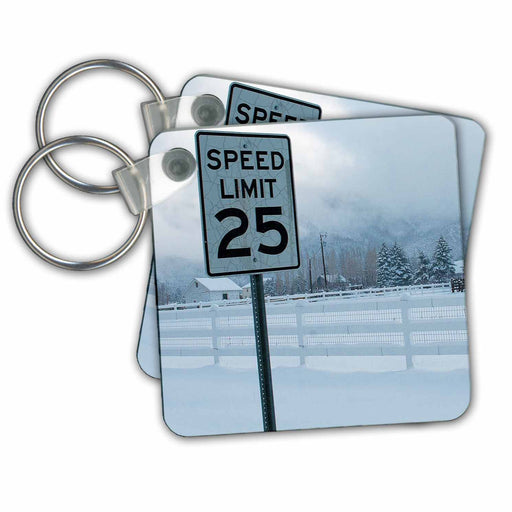 image of set of 2 Key Chains