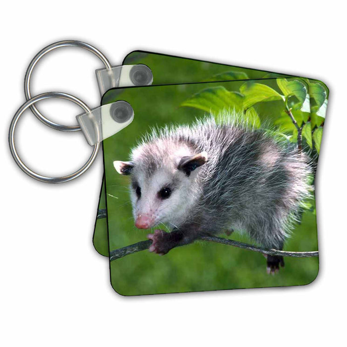 Key Chain - Opossum Wild animals