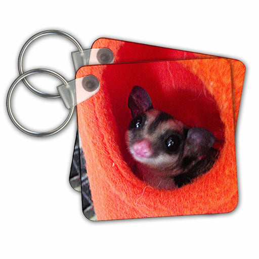 image of set of 2 Key Chains