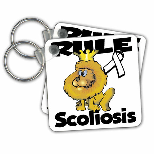 image of set of 2 Key Chains