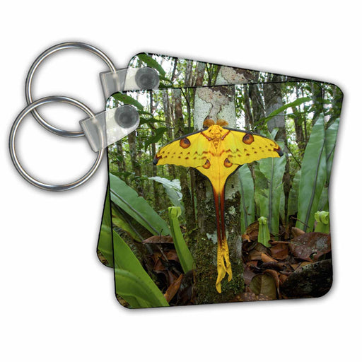 image of set of 2 Key Chains