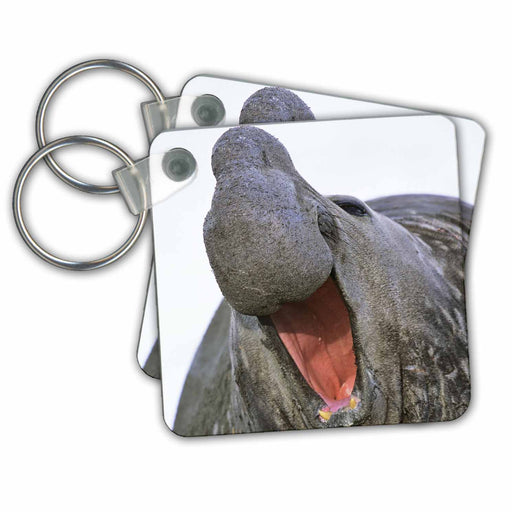 image of set of 2 Key Chains