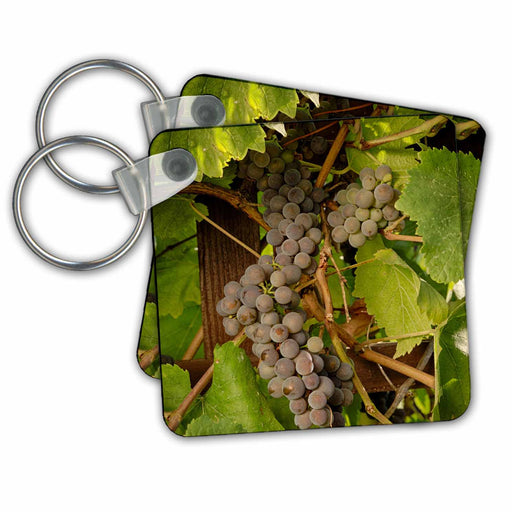 image of set of 2 Key Chains