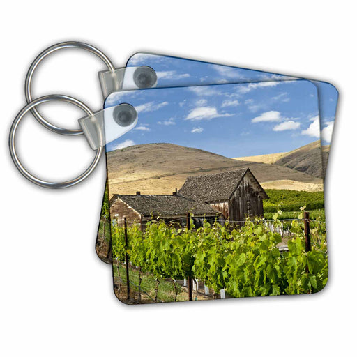 image of set of 2 Key Chains