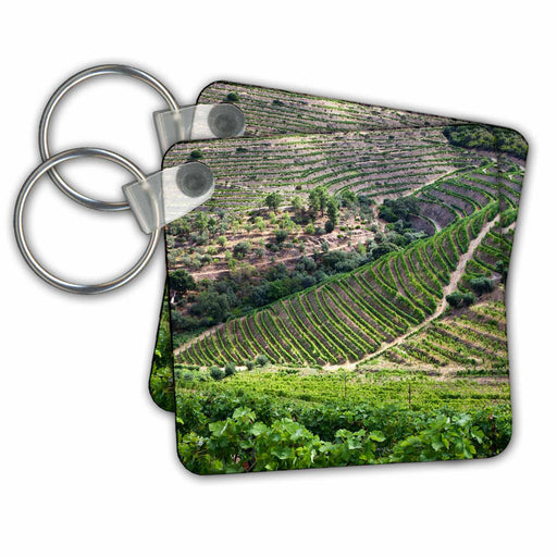 image of set of 2 Key Chains