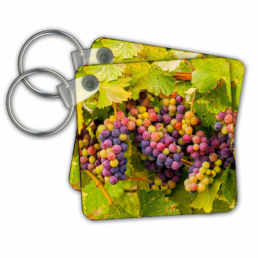 image of set of 2 Key Chains