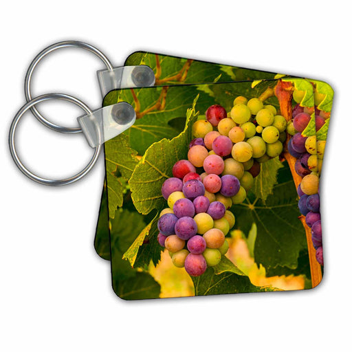 image of set of 2 Key Chains