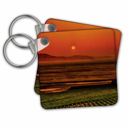 image of set of 2 Key Chains