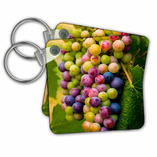 image of set of 2 Key Chains