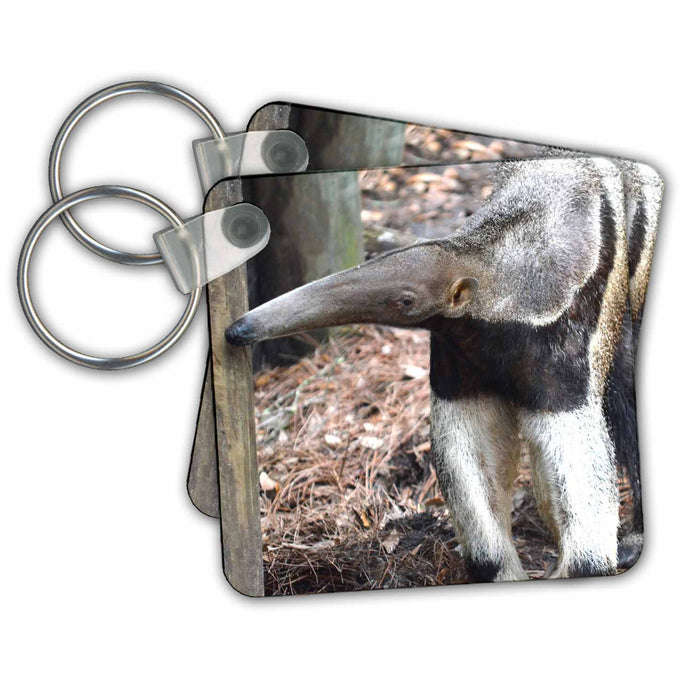 Key Chain - Anteater Nose Raised animals