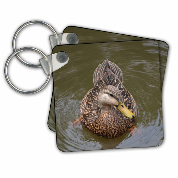 Key Chain - Female Mallard Duck Facing Front Animals