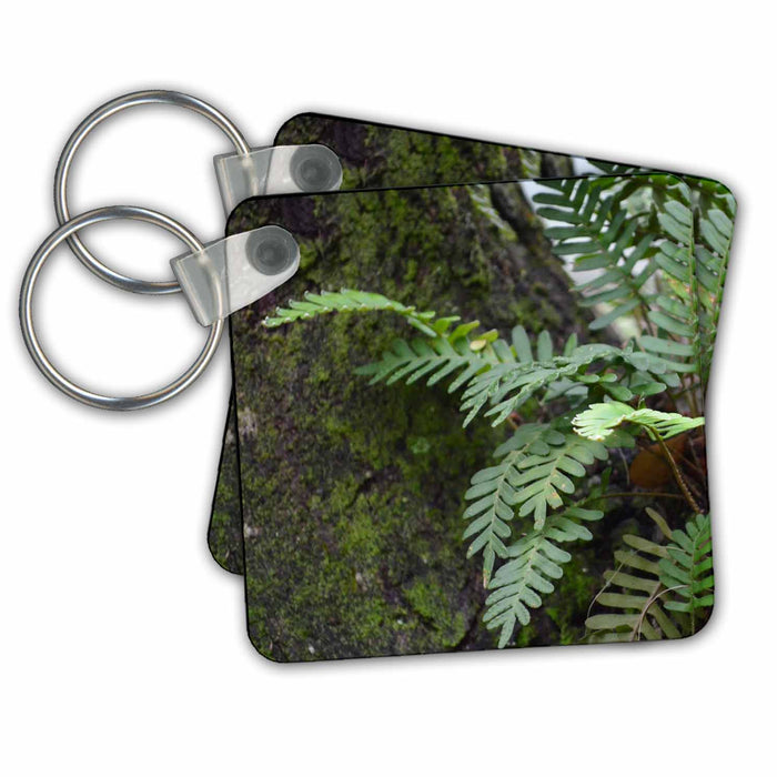 Key Chain - Florida Ferns And Moss In Oak Tree Flowers