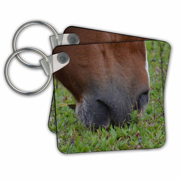 Key Chain - Horse Muzzle Grazing Equine Animals