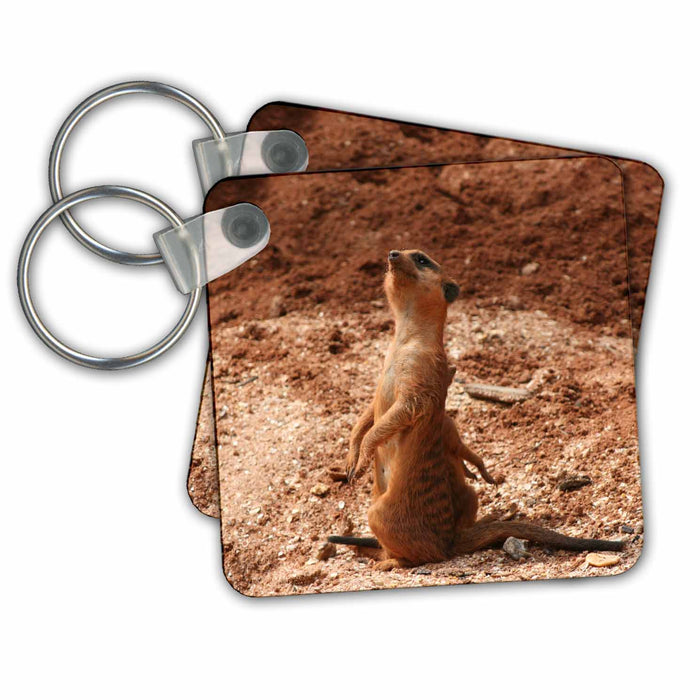 Key Chain - Meerkat Looking Up At Sky Animals