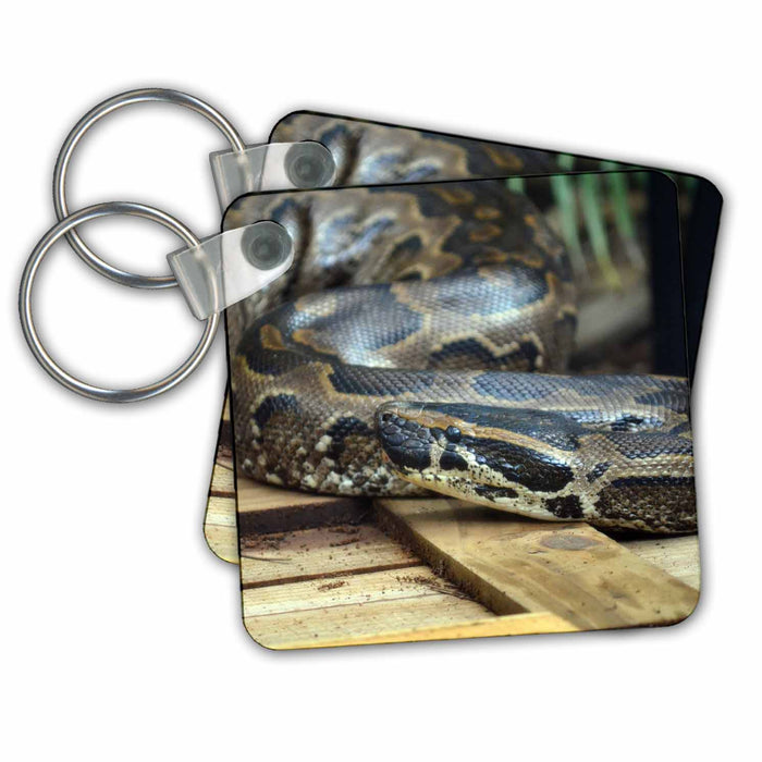 Key Chain - Python Snake Looking Left On Wooden Crate Animals