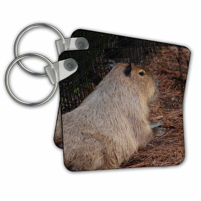 Key Chain - Regal Capybara Back View Animal Animals