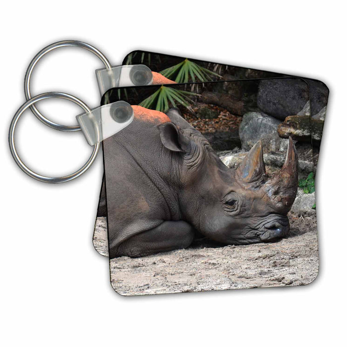 Key Chain - Resting Rhino Image Africa Animal Animals