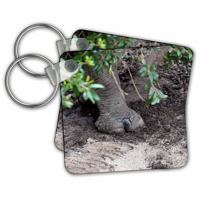 Key Chain - Rhino Foot On Sand Under Tree Animals