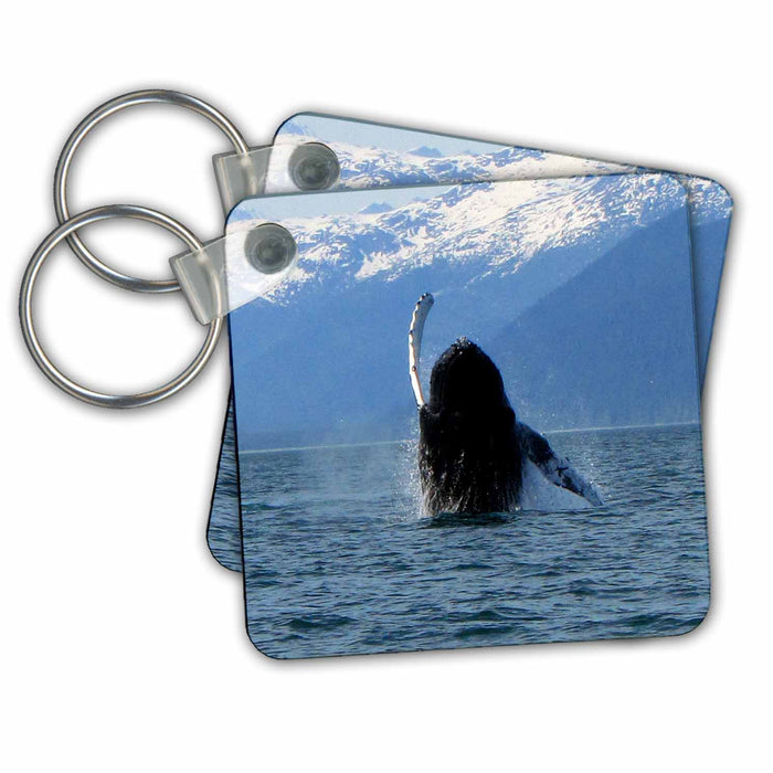 Key Chain - Humpback Whale Doing a Spiral Breach Out of the Lynn Canal in Southeastern Alaska Creations Humpback Whales