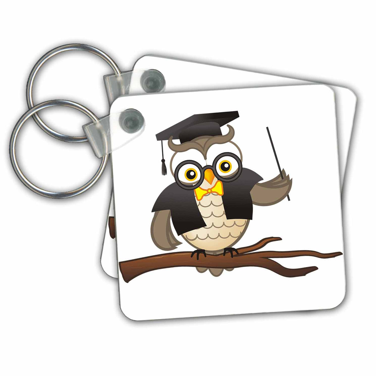 Key Chain - Teacher Wise Owl perched on a branch Digital Design – Wise Owl