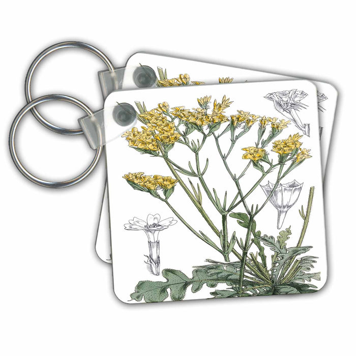 set of 6 Key Chains - Vintage Yellow English Garden Flower Illustration BLN Vintage English Garden Flowers