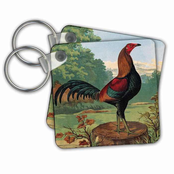 set of 6 Key Chains - Vintage Black Breasted Red Game Cock, 1870 BLN Vintage Roosters and Hens