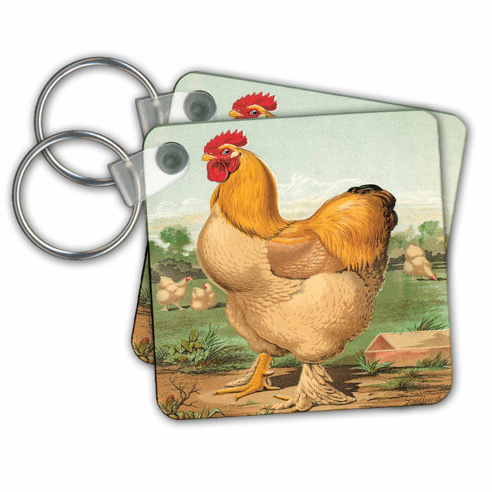 set of 6 Key Chains - Vintage Buff Cochin Cock Samson, Winner of Birmingham Cup 1861 BLN Vintage Roosters and Hens