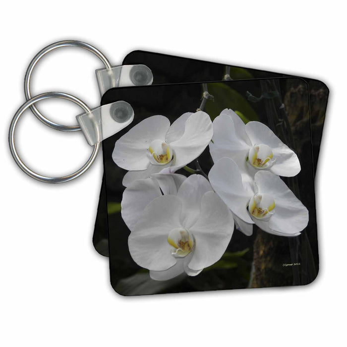 set of 6 Key Chains - white orchids Nature N Wildlife flowers