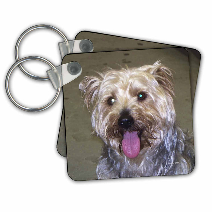 set of 6 Key Chains - Silky Terrier Nature N Wildlife animals