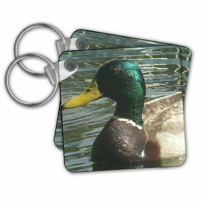 set of 4 Key Chains - Mallard Duck Glistening Geese And Ducks