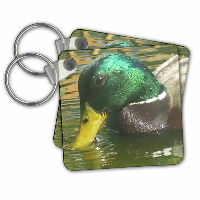 set of 6 Key Chains - Mallard Duck Drinking Geese And Ducks