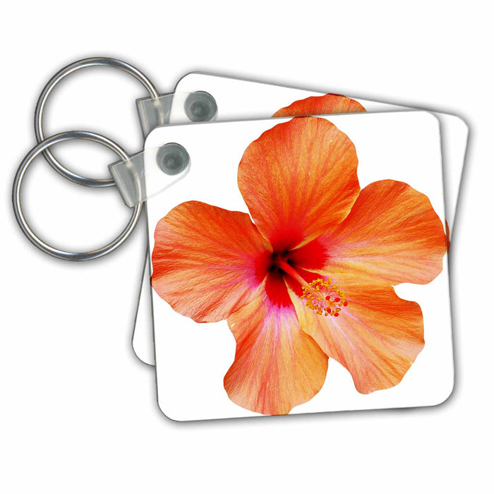 set of 2 Key Chains - Pretty Pale Orange Hawaiian Orchid Flower Flowers