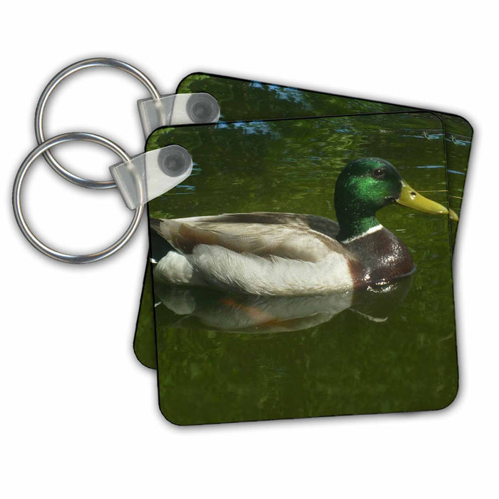 set of 6 Key Chains - Mallard Duck Floating Gracefully Geese And Ducks