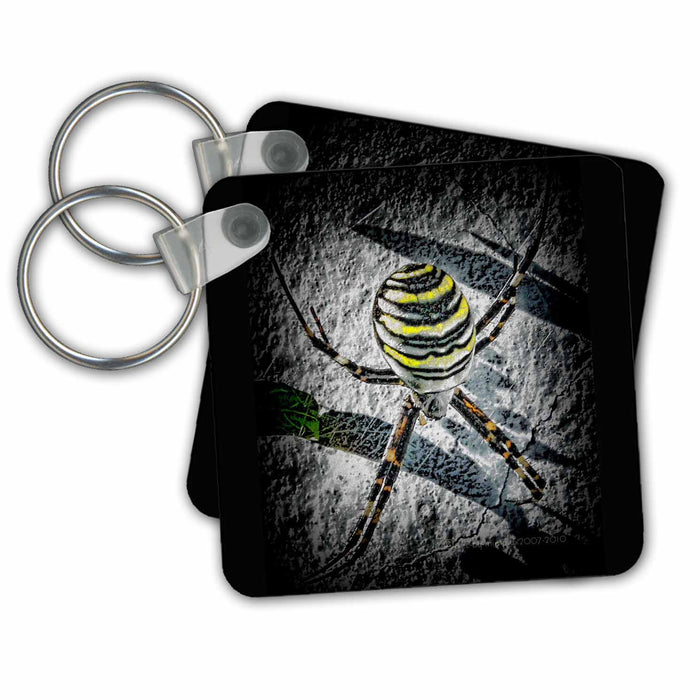 set of 6 Key Chains - WAITING spider arachne arachnoid yellow black hunting spiderweb DarkArt fear phobia arachnophobia mimulux Dark Art